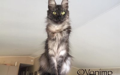 Esra